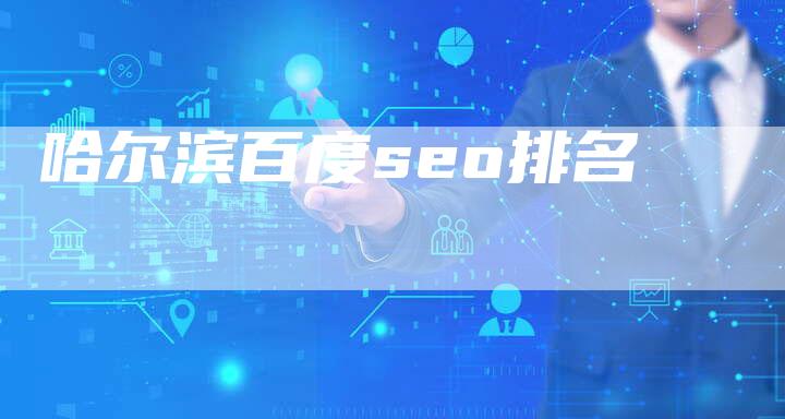 哈尔滨百度seo排名