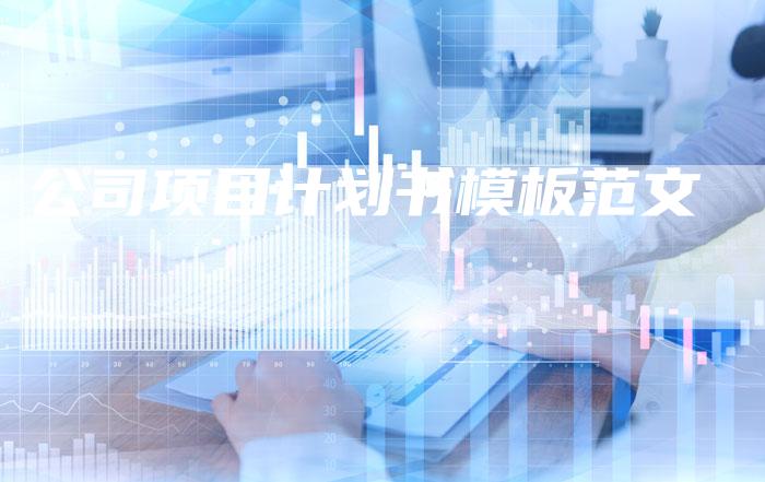 公司项目计划书模板范文-夫唯域名网