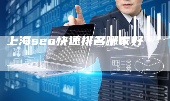 上海seo快速排名哪家好-夫唯域名网