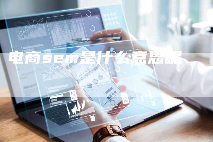 电商sem是什么意思呢-夫唯域名网