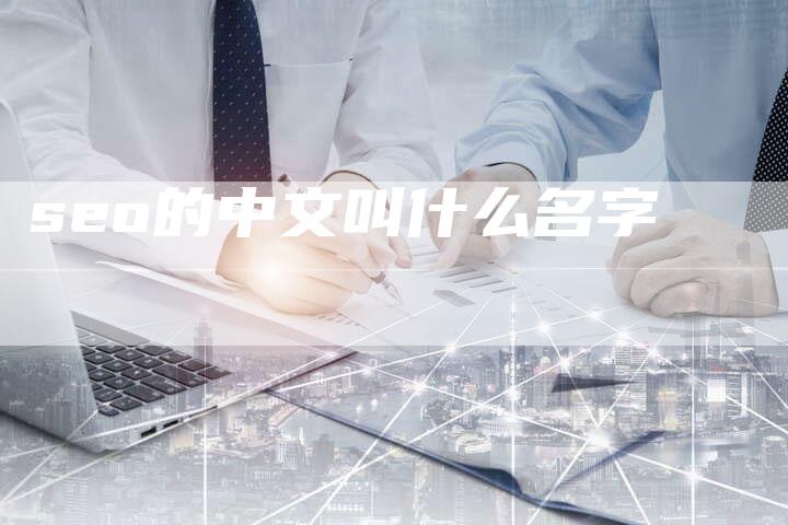 seo的中文叫什么名字-夫唯域名网