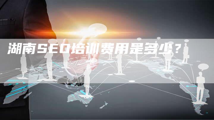湖南SEO培训费用是多少？-夫唯域名网