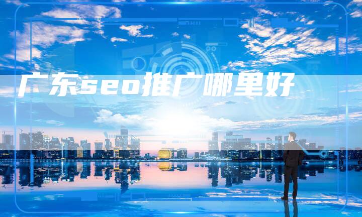 广东seo推广哪里好