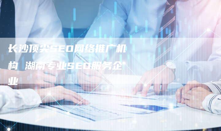 长沙顶尖SEO网络推广机构 湖南专业SEO服务企业-夫唯域名网