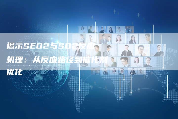 揭示SEO2与SO2反应机理：从反应路径到催化剂优化
