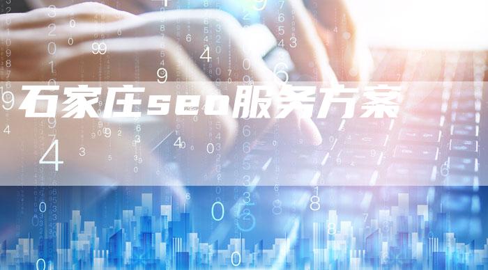 石家庄seo服务方案-夫唯域名网