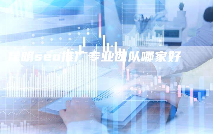 昆明seo推广专业团队哪家好