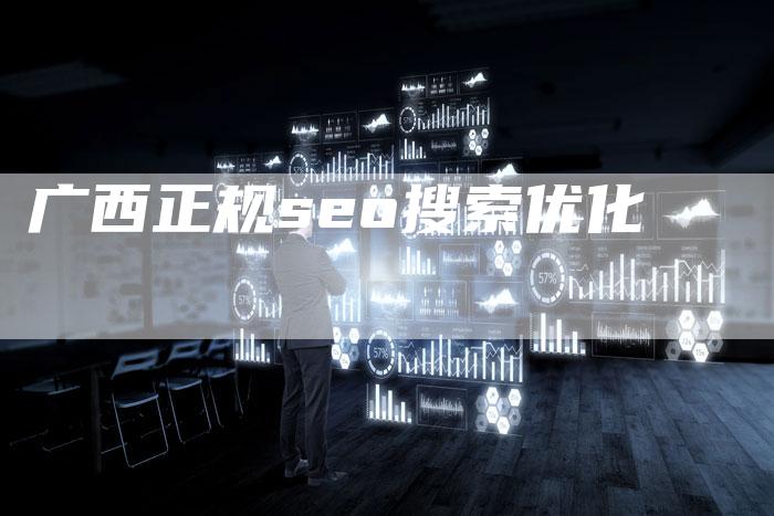 广西正规seo搜索优化