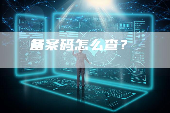 备案码怎么查？