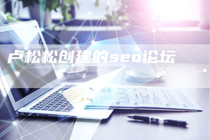 卢松松创建的seo论坛