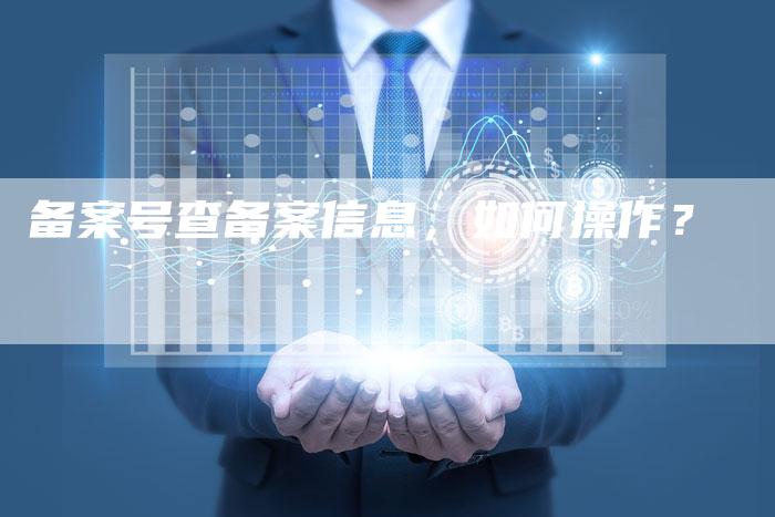 备案号查备案信息，如何操作？
