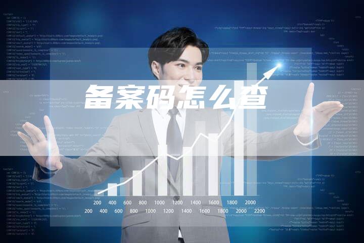 备案码怎么查