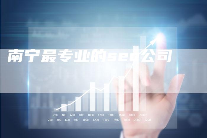 南宁最专业的seo公司
