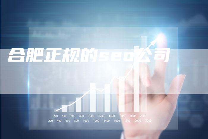 合肥正规的seo公司-夫唯域名网
