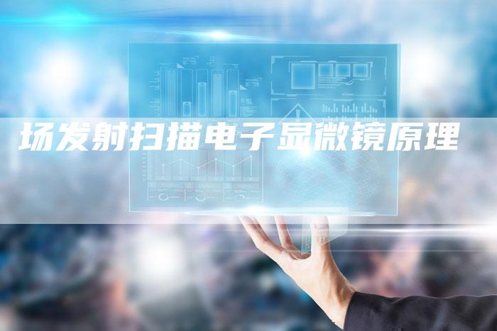 场发射扫描电子显微镜原理-夫唯域名网