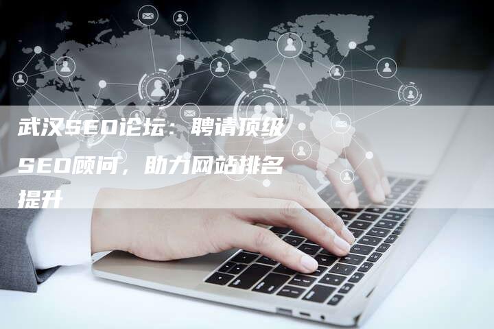 武汉SEO论坛：聘请顶级SEO顾问，助力网站排名提升-夫唯域名网
