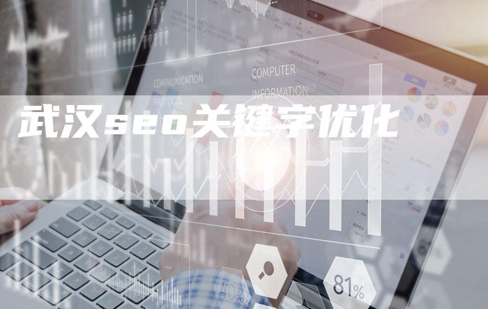武汉seo关键字优化-夫唯域名网