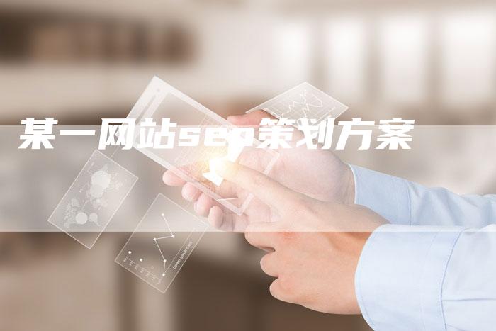 某一网站seo策划方案-夫唯域名网