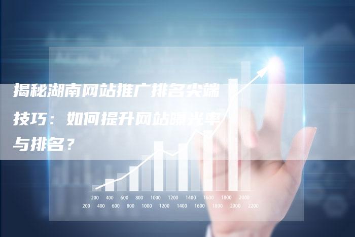 揭秘湖南网站推广排名尖端技巧：如何提升网站曝光率与排名？