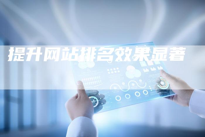 提升网站排名效果显著-夫唯域名网