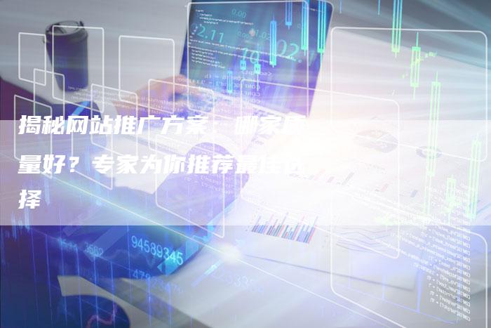 揭秘网站推广方案：哪家质量好？专家为你推荐最佳选择-夫唯域名网