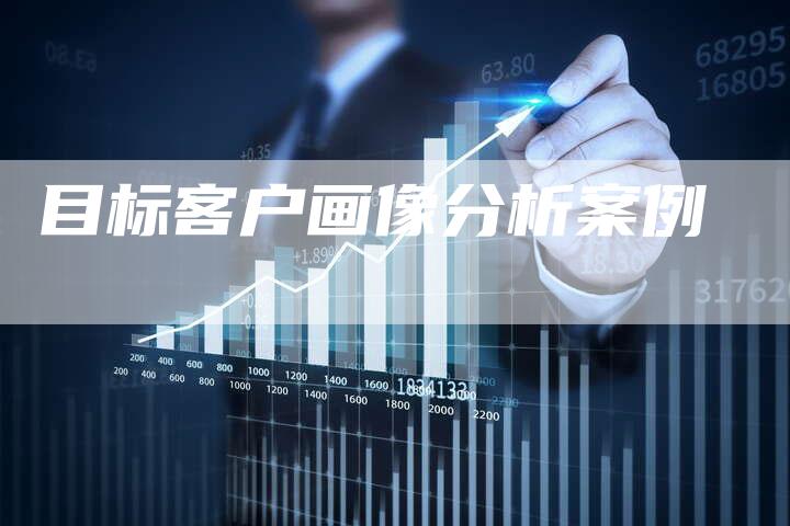目标客户画像分析案例-夫唯域名网