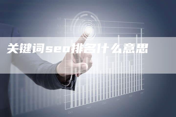 关键词seo排名什么意思-夫唯域名网