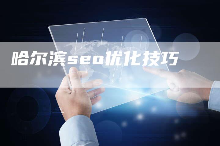 哈尔滨seo优化技巧-夫唯域名网