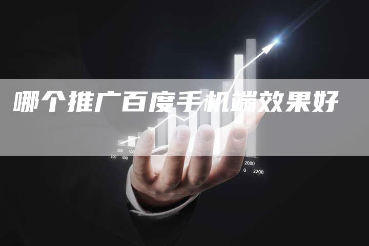 哪个推广百度手机端效果好-夫唯域名网