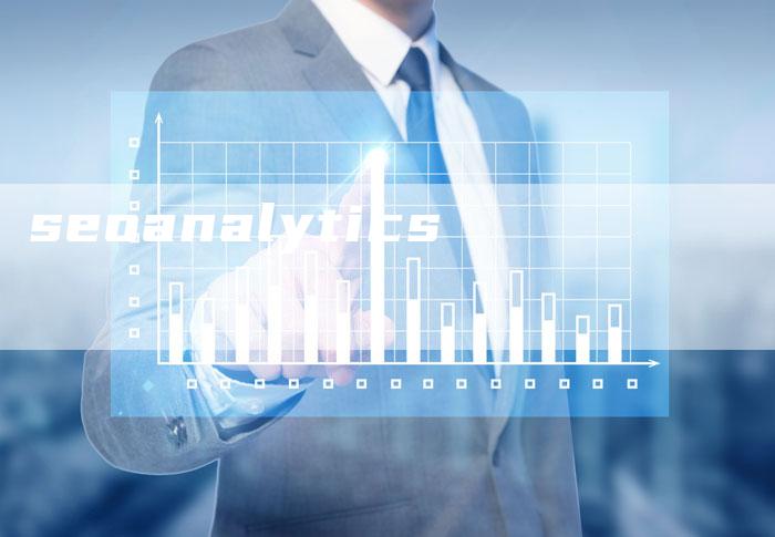 seoanalytics