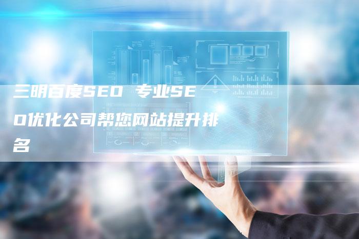 三明百度SEO 专业SEO优化公司帮您网站提升排名