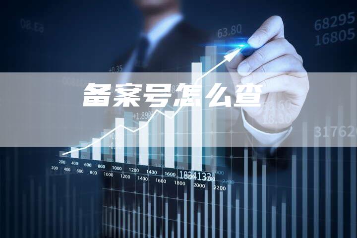 备案号怎么查