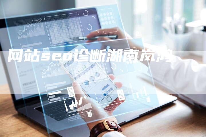 网站seo诊断湖南岚鸿-夫唯域名网