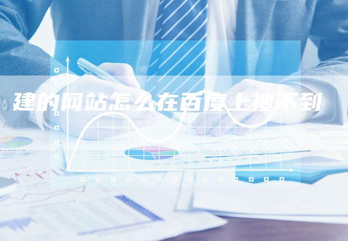 建的网站怎么在百度上搜不到