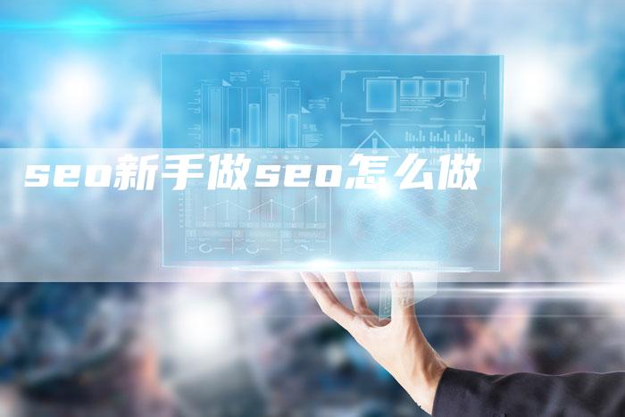 seo新手做seo怎么做