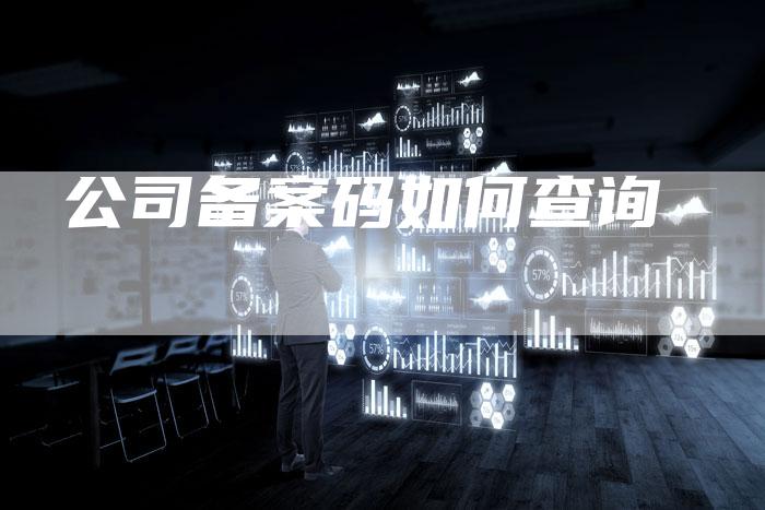 公司备案码如何查询