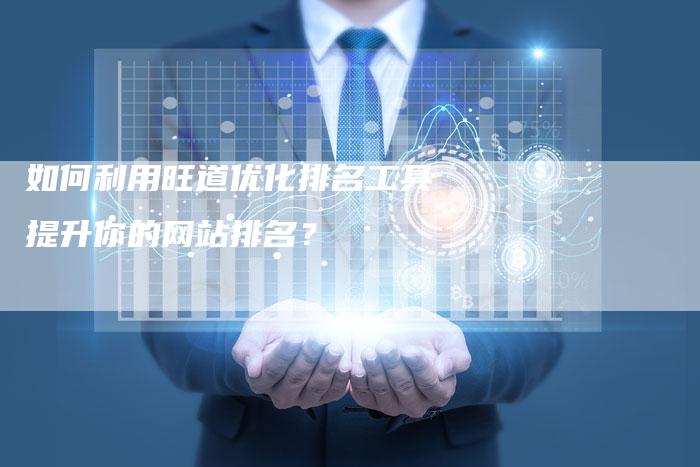 如何利用旺道优化排名工具提升你的网站排名？