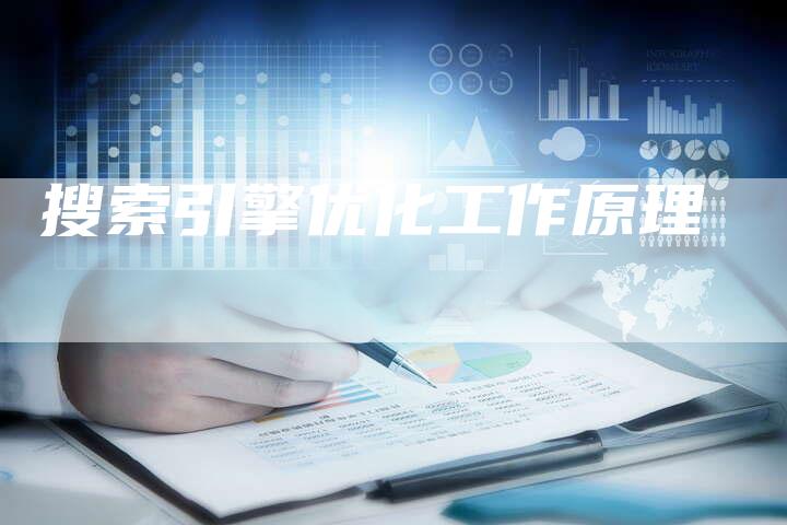 搜索引擎优化工作原理-夫唯域名网