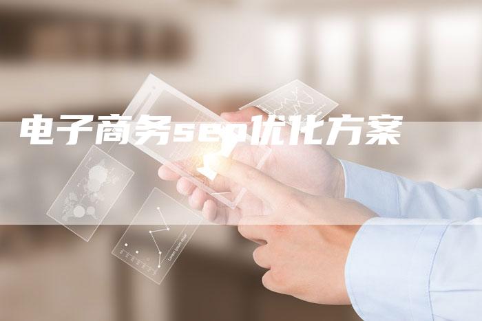 电子商务seo优化方案-夫唯域名网