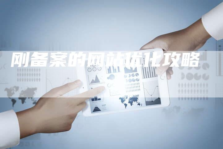 刚备案的网站优化攻略-夫唯域名网