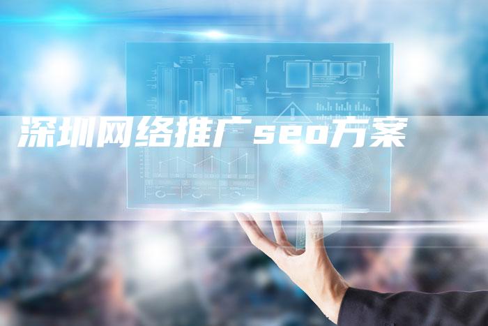 深圳网络推广seo方案