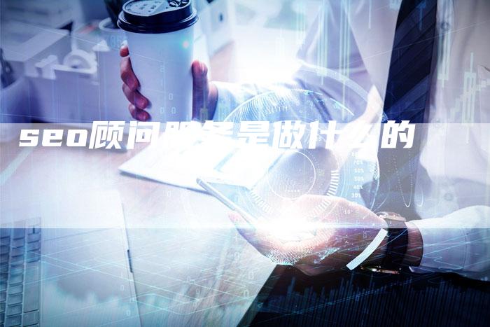 seo顾问服务是做什么的-夫唯域名网