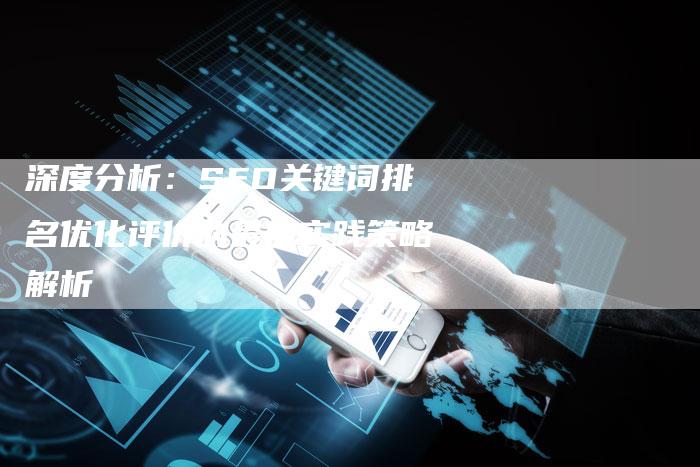 深度分析：SEO关键词排名优化评价的最佳实践策略解析-夫唯域名网