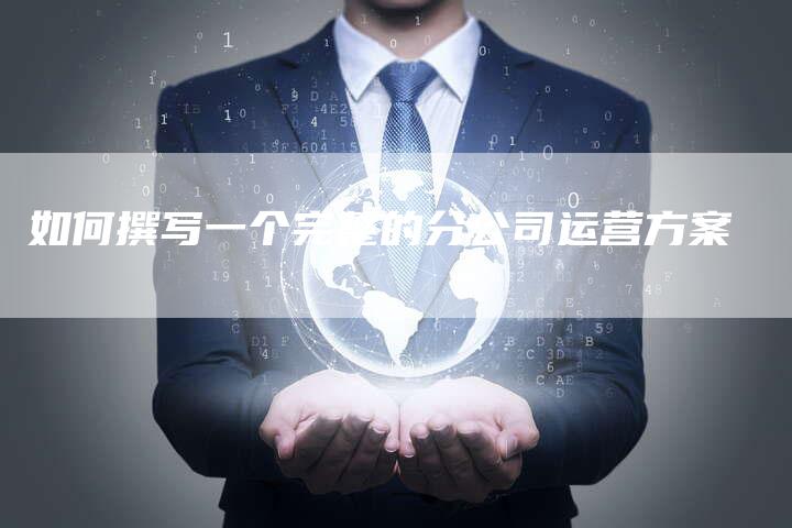 如何撰写一个完整的分公司运营方案-夫唯域名网