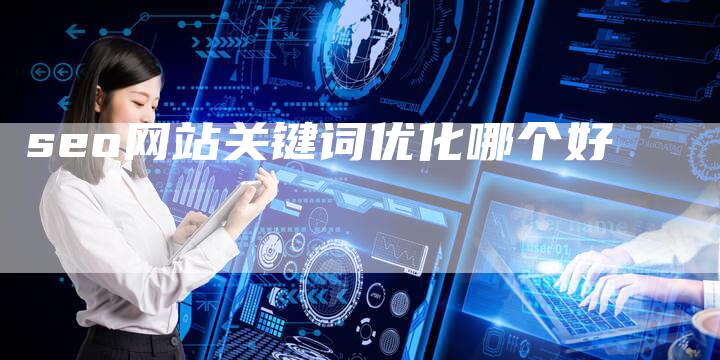 seo网站关键词优化哪个好