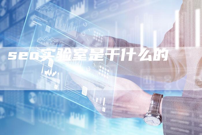 seo实验室是干什么的-夫唯域名网