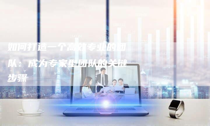 如何打造一个高效专业的团队：成为专家型团队的关键步骤-夫唯域名网