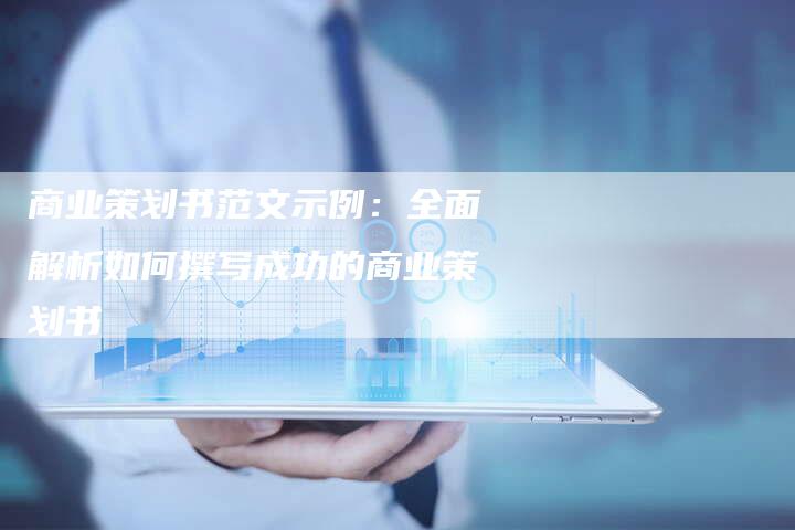 商业策划书范文示例：全面解析如何撰写成功的商业策划书-夫唯域名网