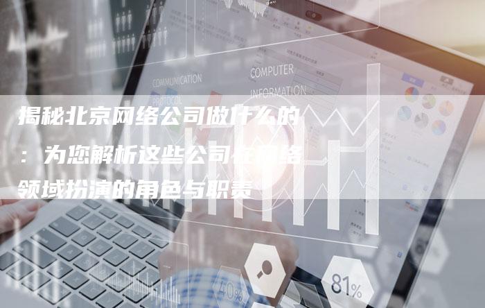 揭秘北京网络公司做什么的：为您解析这些公司在网络领域扮演的角色与职责-夫唯域名网