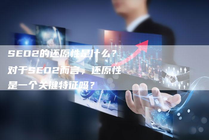 SEO2的还原性是什么？对于SEO2而言，还原性是一个关键特征吗？